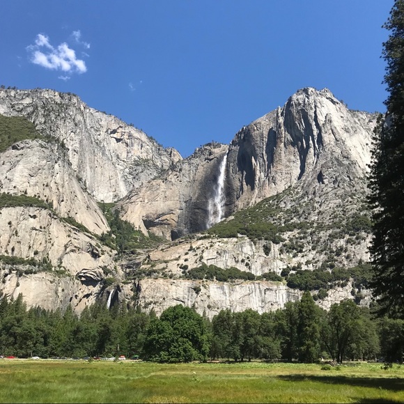 Meet your Posher, Arlene - Picture 1 of 1